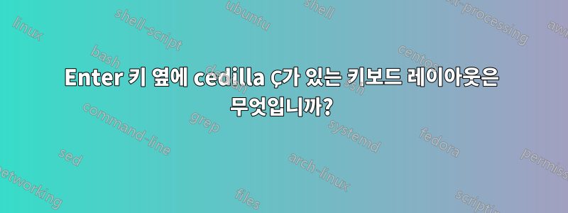 Enter 키 옆에 cedilla Ç가 있는 키보드 레이아웃은 무엇입니까?