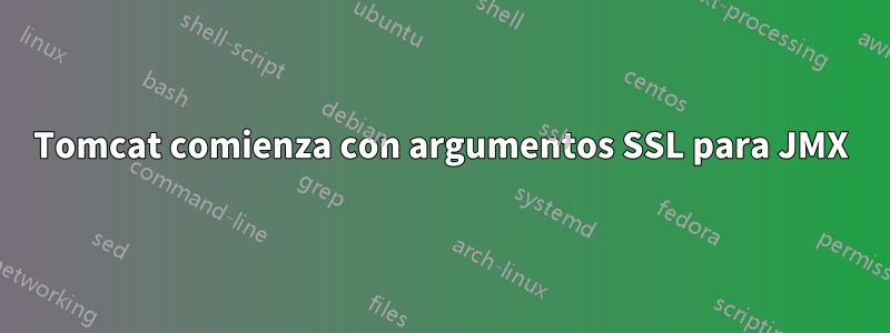 Tomcat comienza con argumentos SSL para JMX