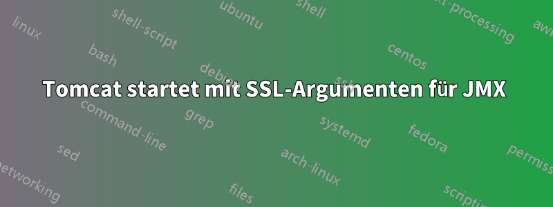 Tomcat startet mit SSL-Argumenten für JMX