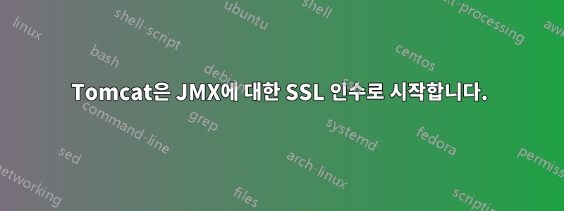 Tomcat은 JMX에 대한 SSL 인수로 시작합니다.