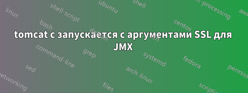 tomcat с запускается с аргументами SSL для JMX