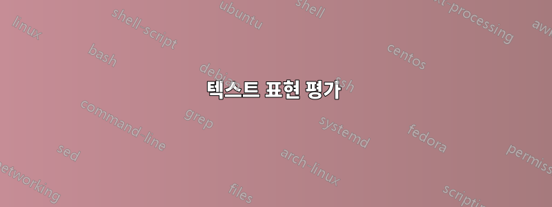 텍스트 표현 평가