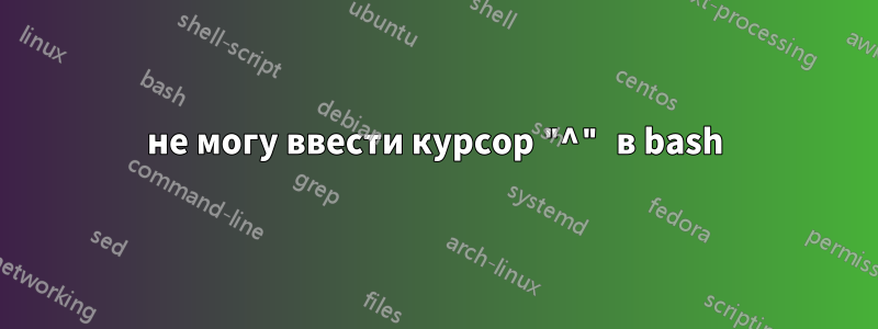 не могу ввести курсор "^" в bash