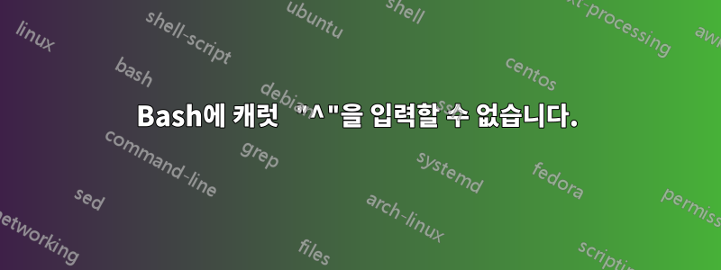 Bash에 캐럿 "^"을 입력할 수 없습니다.