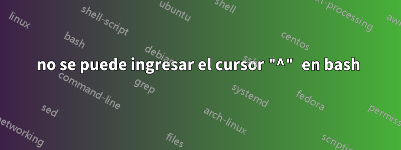 no se puede ingresar el cursor "^" en bash