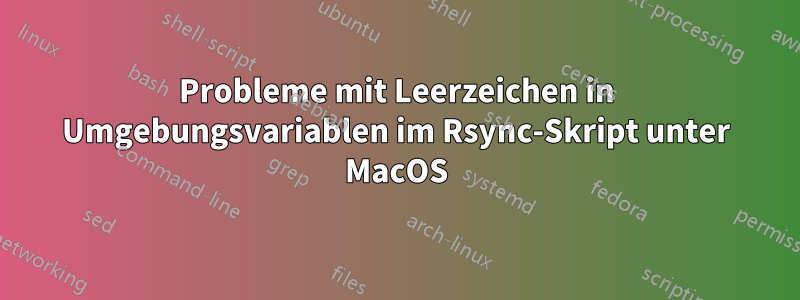 Probleme mit Leerzeichen in Umgebungsvariablen im Rsync-Skript unter MacOS