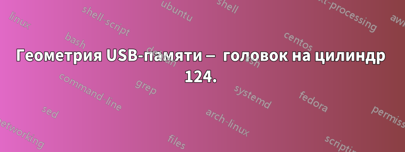 Геометрия USB-памяти — головок на цилиндр 124.