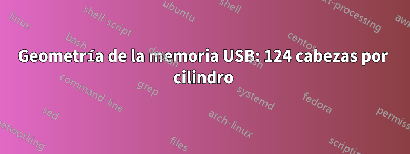 Geometría de la memoria USB: 124 cabezas por cilindro