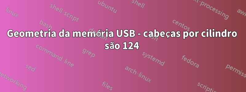 Geometria da memória USB - cabeças por cilindro são 124