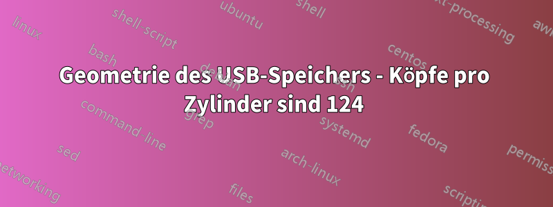 Geometrie des USB-Speichers - Köpfe pro Zylinder sind 124