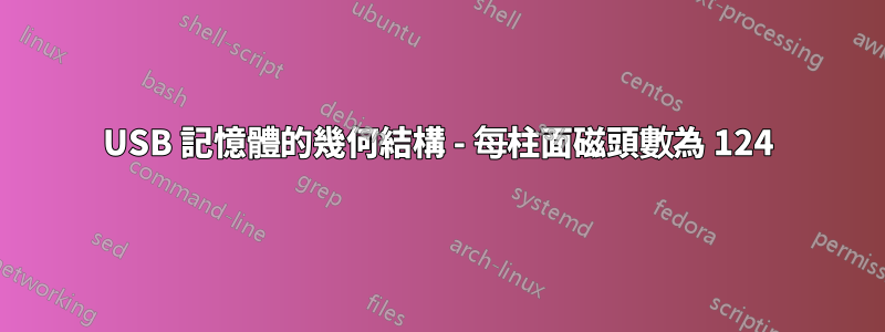 USB 記憶體的幾何結構 - 每柱面磁頭數為 124