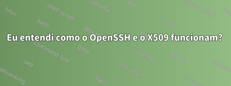 Eu entendi como o OpenSSH e o X509 funcionam?