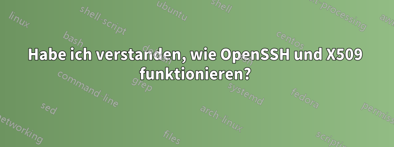 Habe ich verstanden, wie OpenSSH und X509 funktionieren?