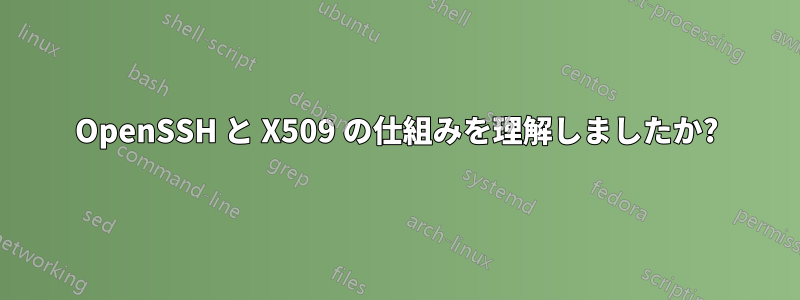 OpenSSH と X509 の仕組みを理解しましたか?