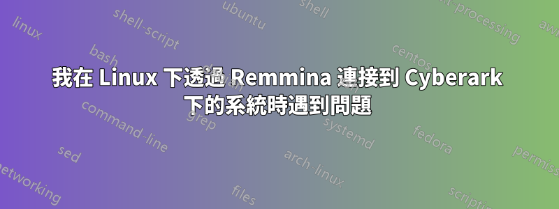 我在 Linux 下透過 Remmina 連接到 Cyber​​ark 下的系統時遇到問題