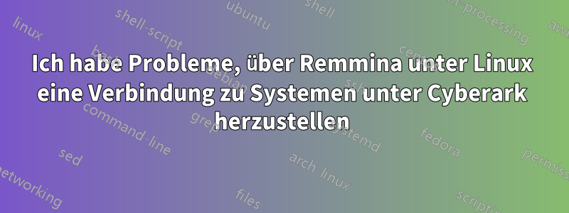 Ich habe Probleme, über Remmina unter Linux eine Verbindung zu Systemen unter Cyberark herzustellen