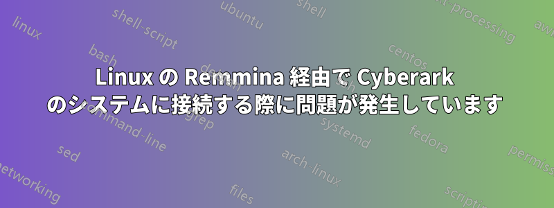 Linux の Remmina 経由で Cyber​​ark のシステムに接続する際に問題が発生しています