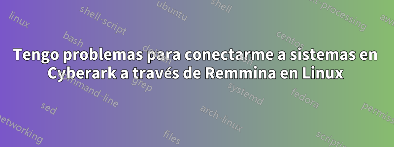 Tengo problemas para conectarme a sistemas en Cyberark a través de Remmina en Linux