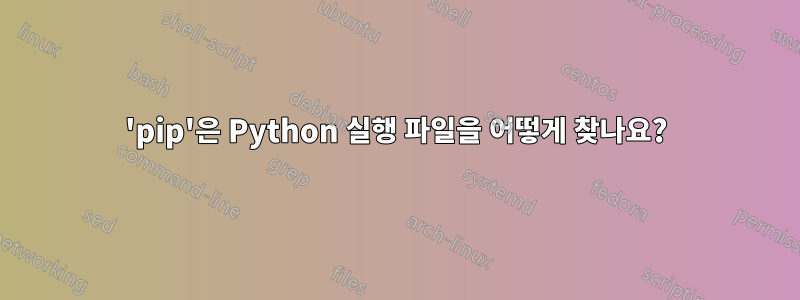 'pip'은 Python 실행 파일을 어떻게 찾나요?