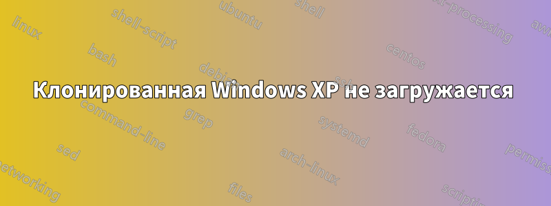 Клонированная Windows XP не загружается