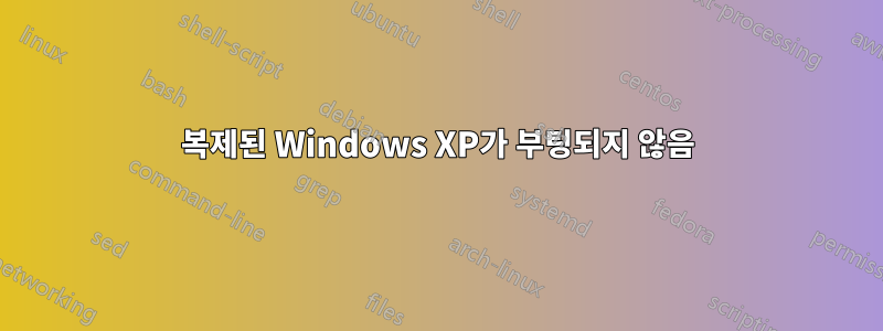 복제된 Windows XP가 부팅되지 않음