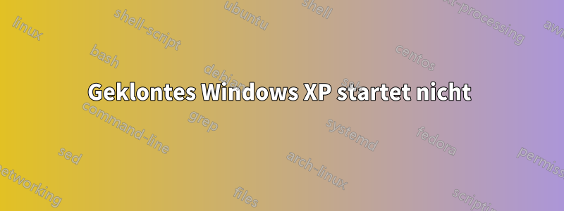 Geklontes Windows XP startet nicht