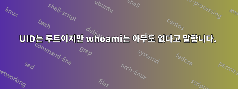 UID는 루트이지만 whoami는 아무도 없다고 말합니다.