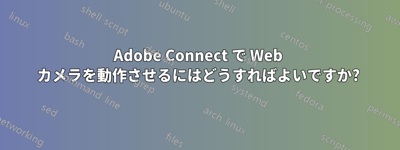 Adobe Connect で Web カメラを動作させるにはどうすればよいですか?