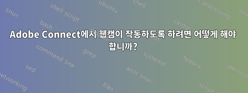 Adobe Connect에서 웹캠이 작동하도록 하려면 어떻게 해야 합니까?