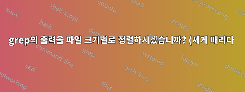 grep의 출력을 파일 크기별로 정렬하시겠습니까? (세게 때리다)