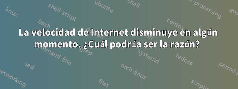 La velocidad de Internet disminuye en algún momento. ¿Cuál podría ser la razón? 