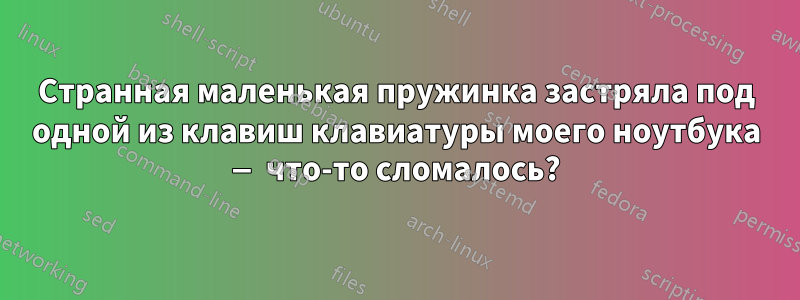 Странная маленькая пружинка застряла под одной из клавиш клавиатуры моего ноутбука — что-то сломалось?