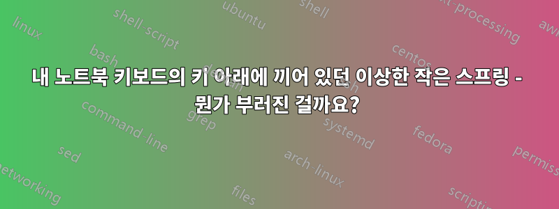 내 노트북 ​​키보드의 키 아래에 끼어 있던 이상한 작은 스프링 - 뭔가 부러진 걸까요?