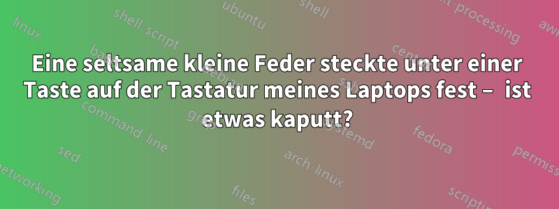 Eine seltsame kleine Feder steckte unter einer Taste auf der Tastatur meines Laptops fest – ist etwas kaputt?