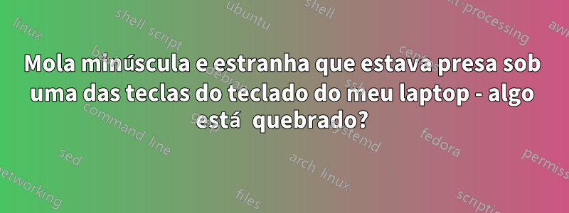 Mola minúscula e estranha que estava presa sob uma das teclas do teclado do meu laptop - algo está quebrado?