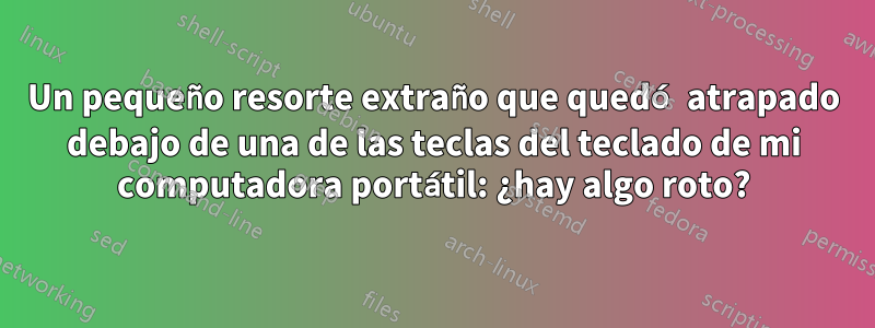 Un pequeño resorte extraño que quedó atrapado debajo de una de las teclas del teclado de mi computadora portátil: ¿hay algo roto?