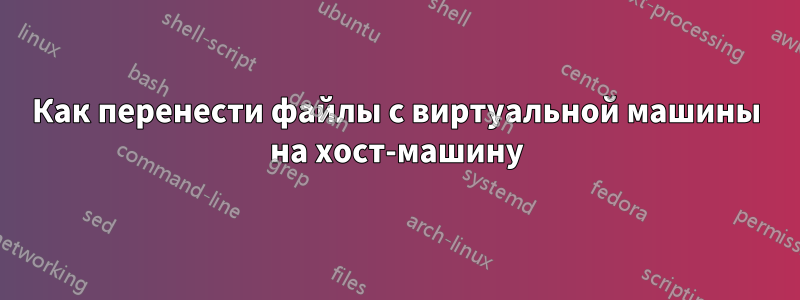 Как перенести файлы с виртуальной машины на хост-машину