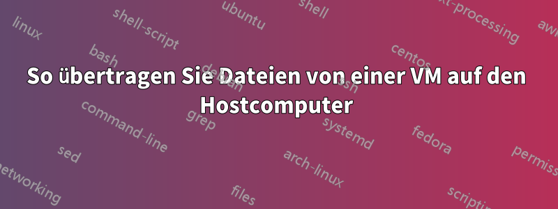 So übertragen Sie Dateien von einer VM auf den Hostcomputer