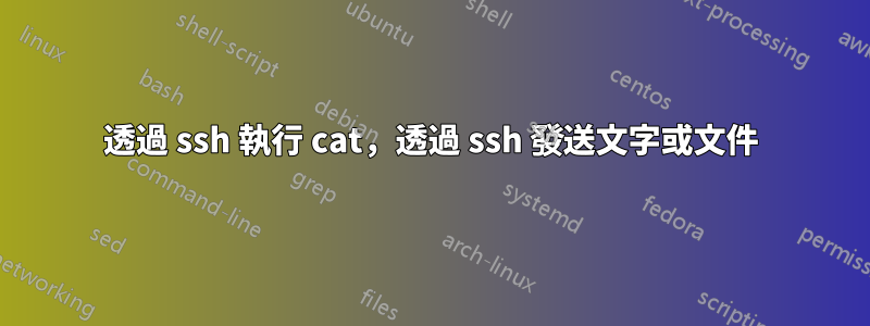 透過 ssh 執行 cat，透過 ssh 發送文字或文件