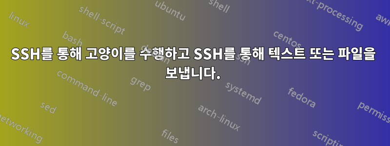 SSH를 통해 고양이를 수행하고 SSH를 통해 텍스트 또는 파일을 보냅니다.