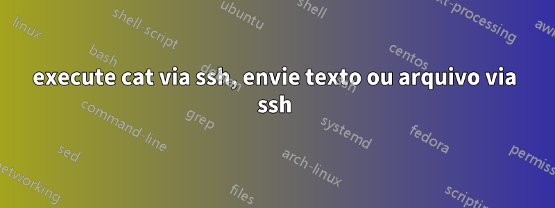 execute cat via ssh, envie texto ou arquivo via ssh