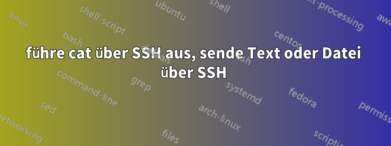 führe cat über SSH aus, sende Text oder Datei über SSH