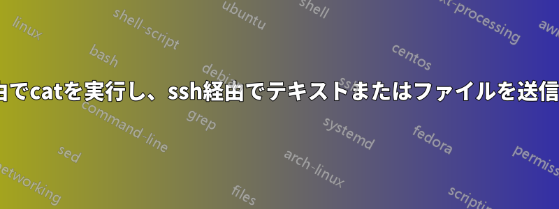 ssh経由でcatを実行し、ssh経由でテキストまたはファイルを送信します