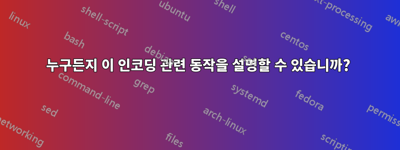 누구든지 이 인코딩 관련 동작을 설명할 수 있습니까?