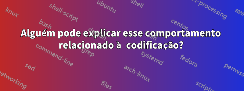 Alguém pode explicar esse comportamento relacionado à codificação?