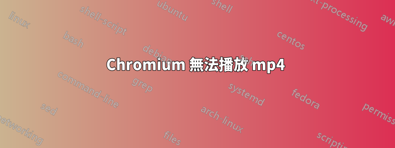 Chromium 無法播放 mp4