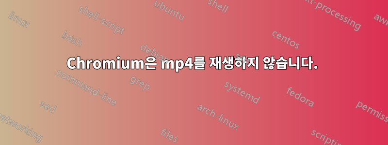 Chromium은 mp4를 재생하지 않습니다.