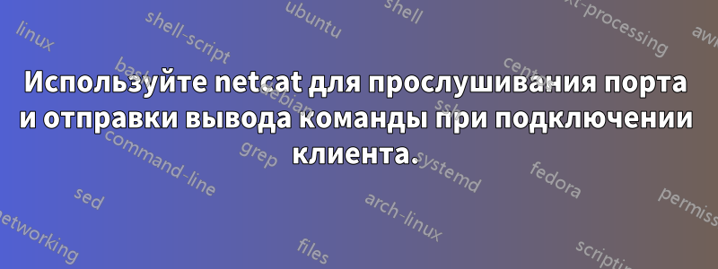 Используйте netcat для прослушивания порта и отправки вывода команды при подключении клиента.