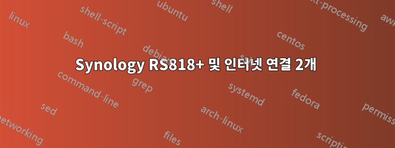 Synology RS818+ 및 인터넷 연결 2개