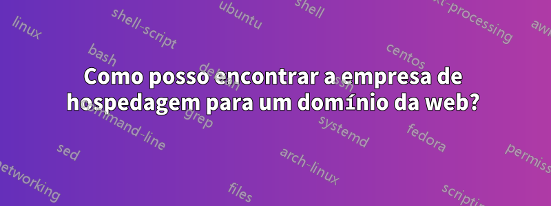 Como posso encontrar a empresa de hospedagem para um domínio da web?